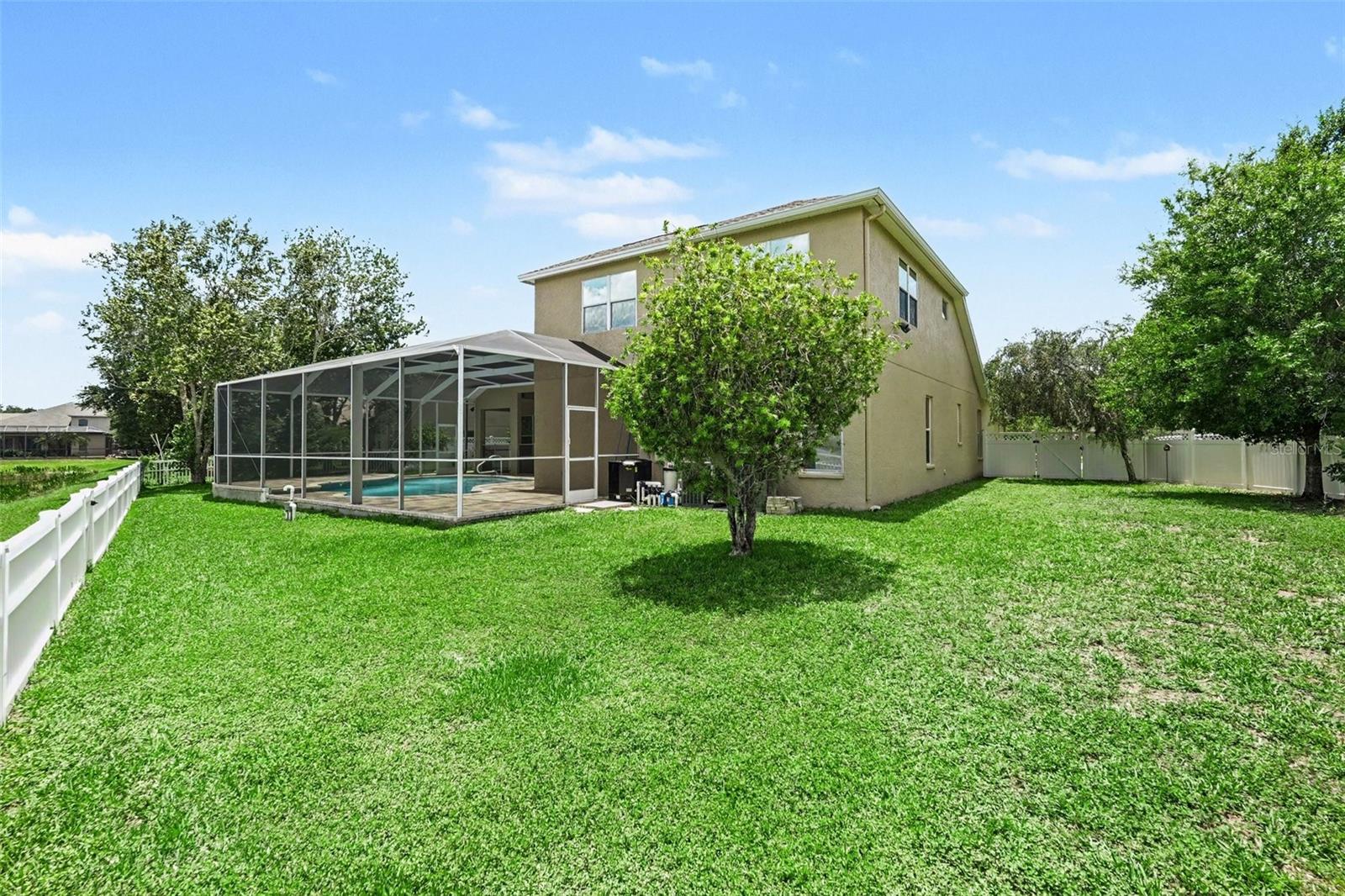 Backyard-left side