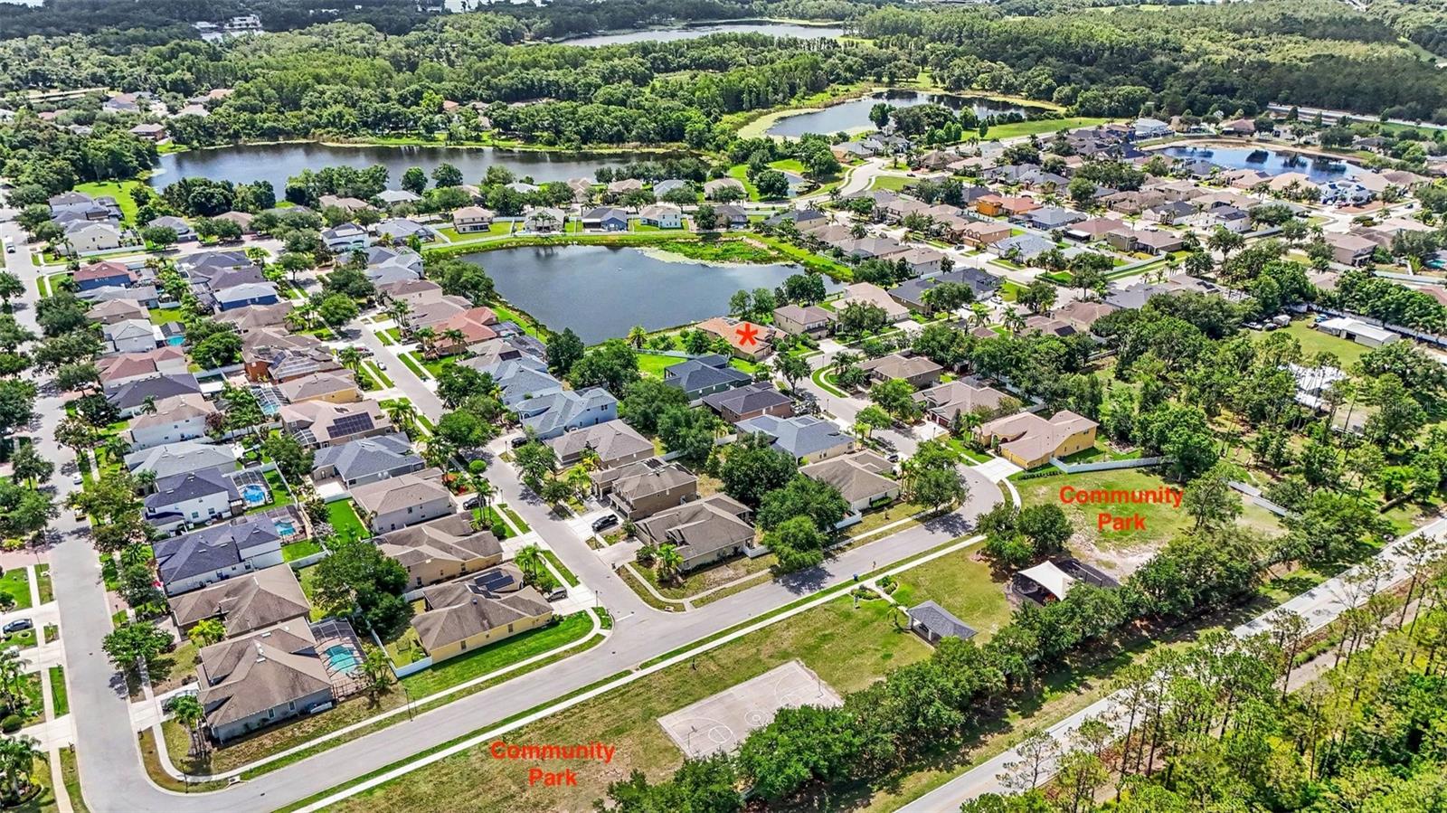 Community view