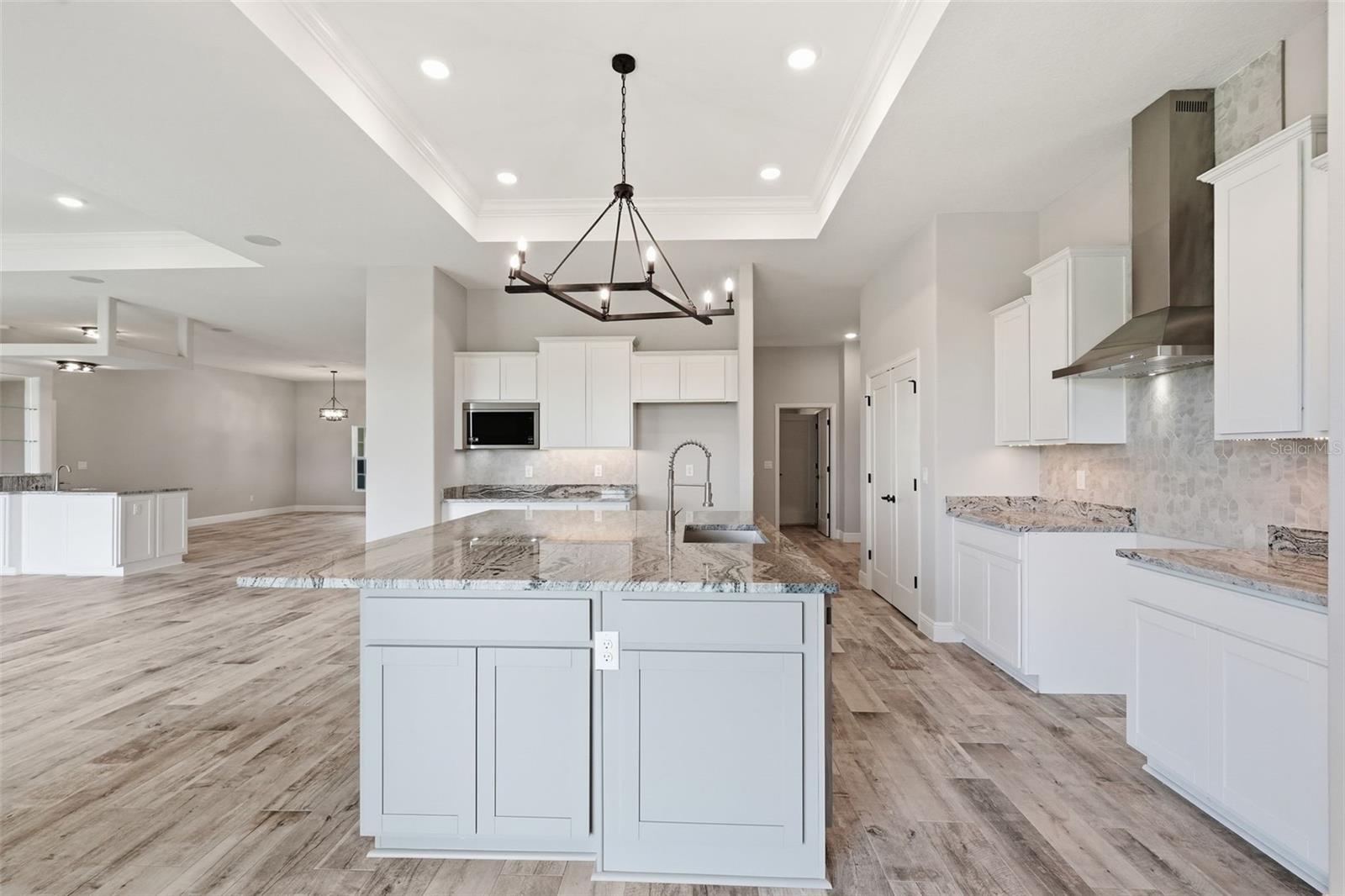 Alt View Kitchen