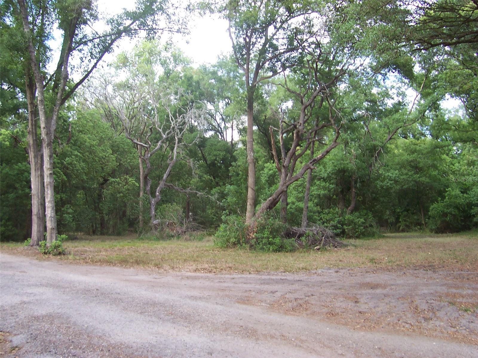 2.5 fenced acres to enjoy!