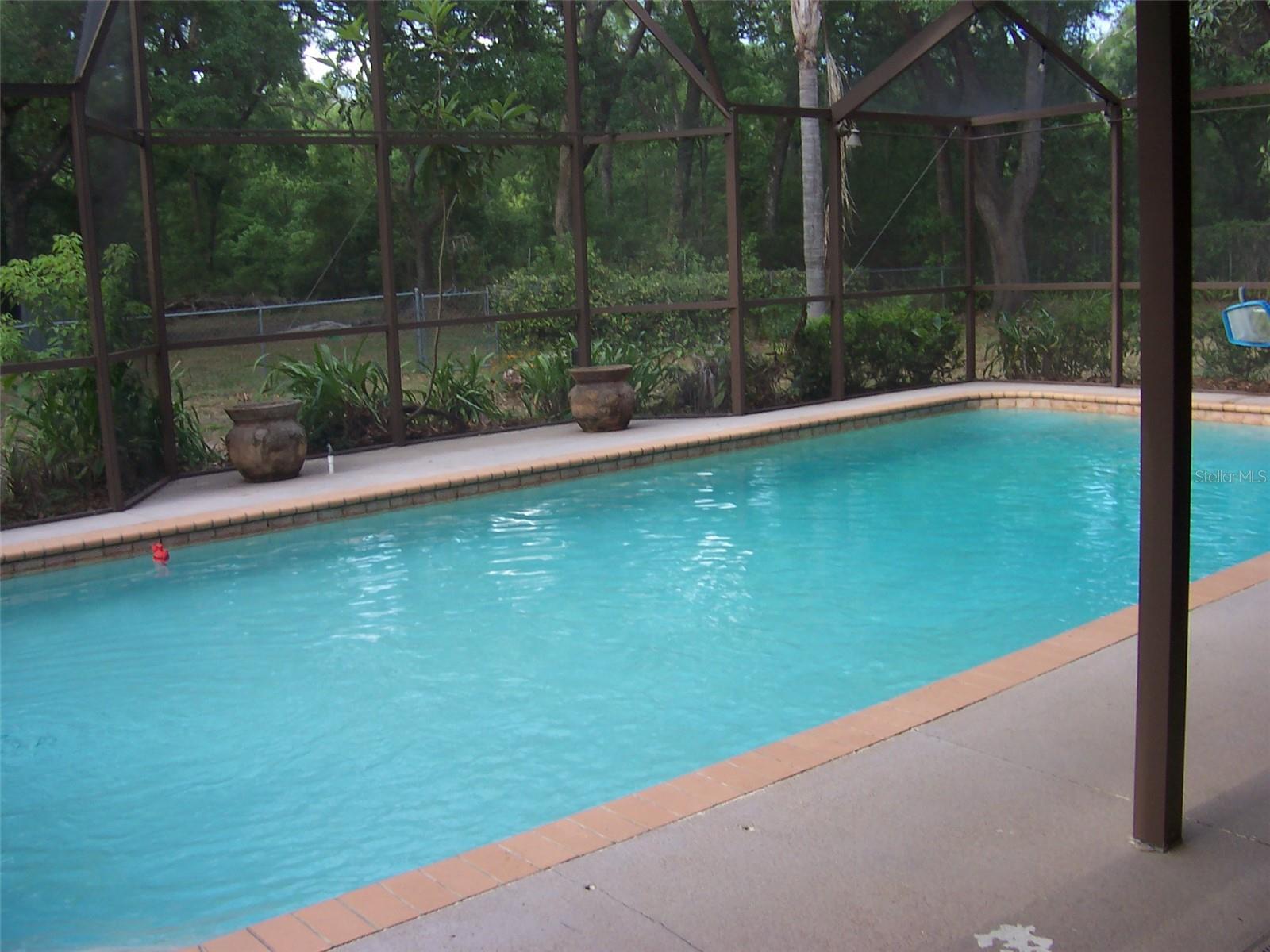 Beautiful Inground Pool