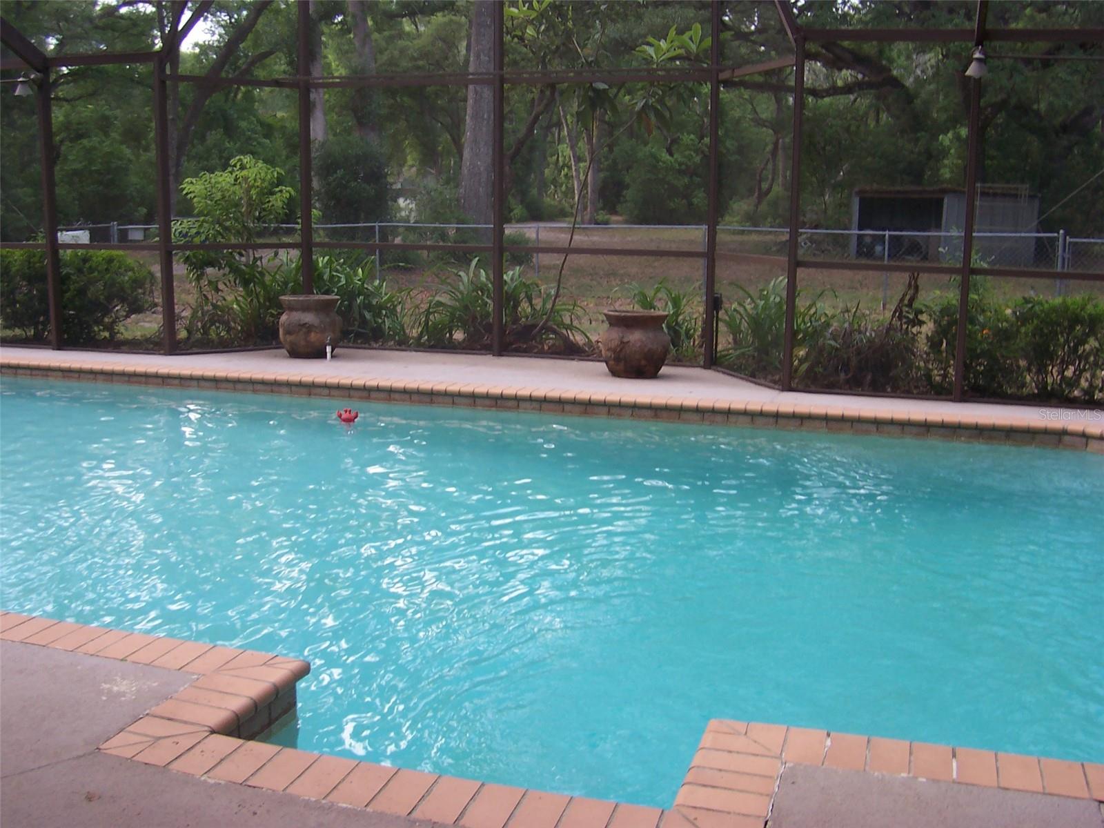 3 to 6 foot deep pool completely caged and so inviting for those fun pool days or relaxing summer evenings.