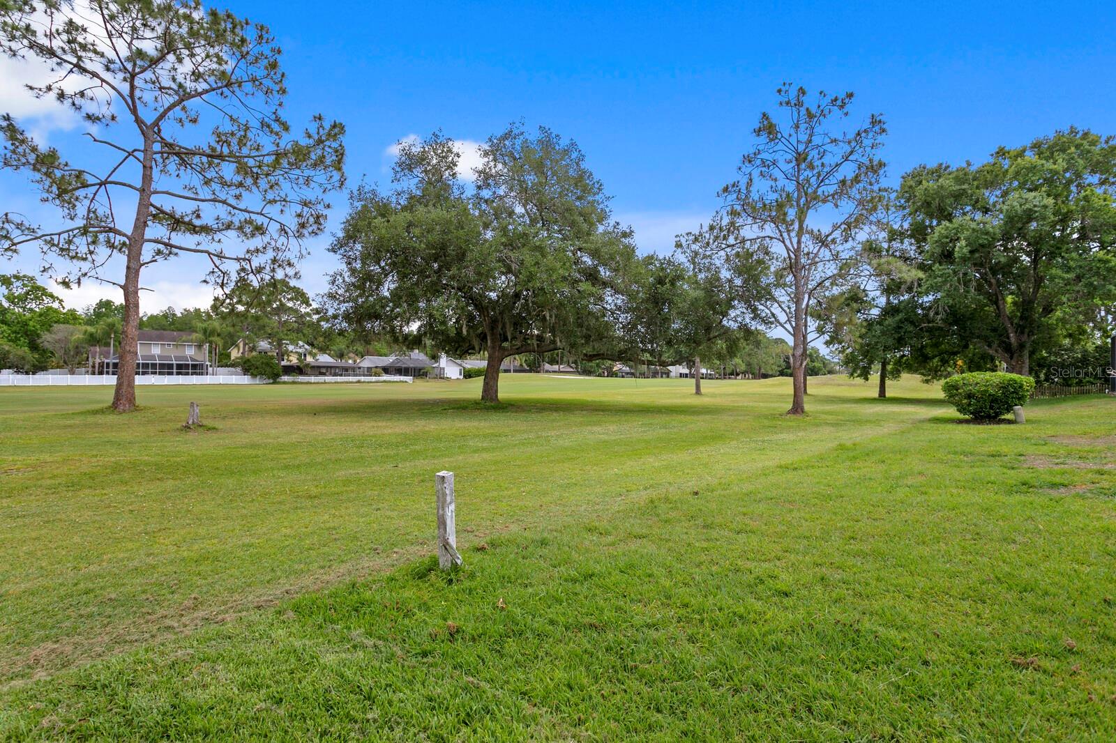 Backyard golf course views