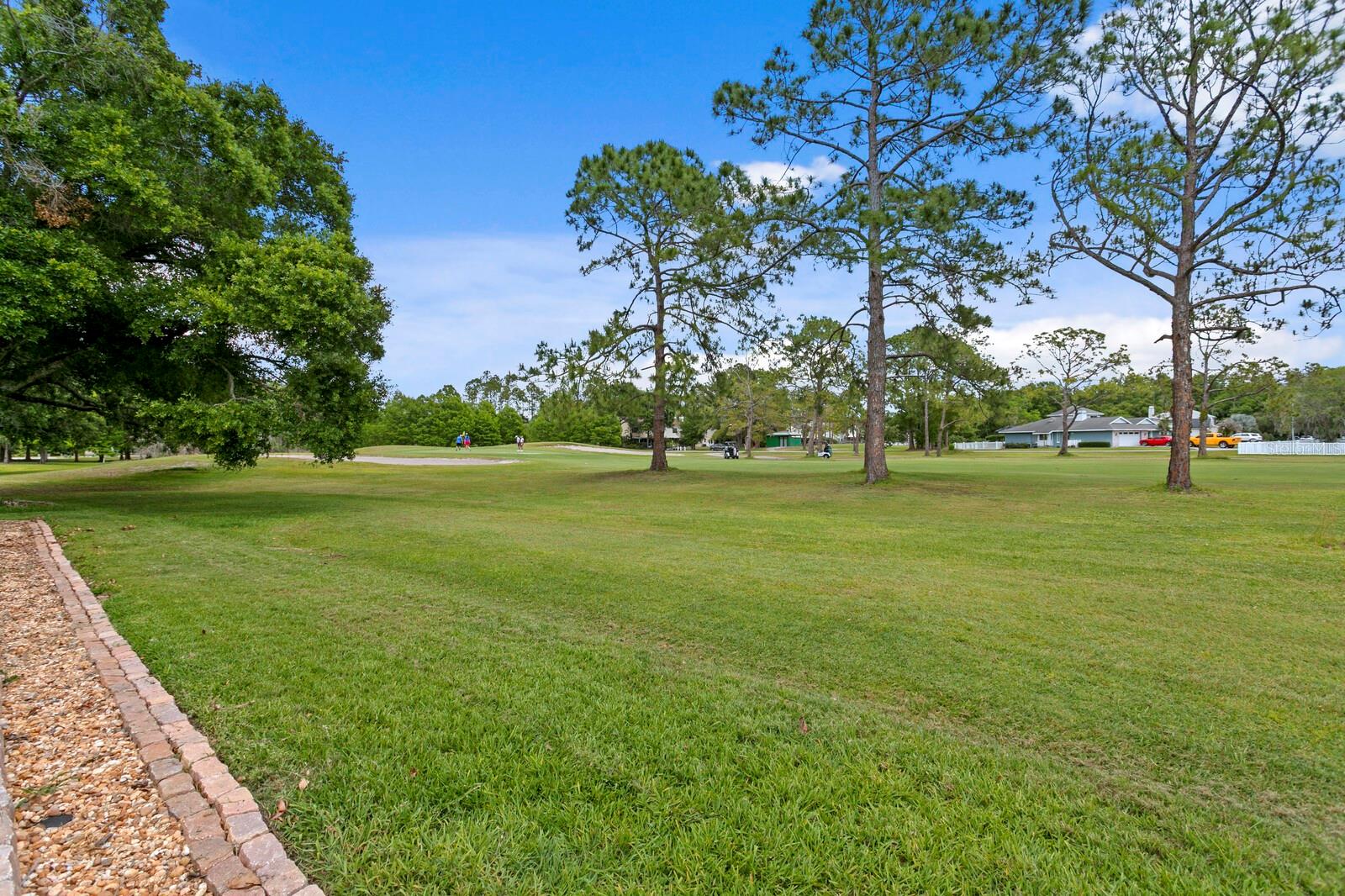 Views of the 4th green from your backyard