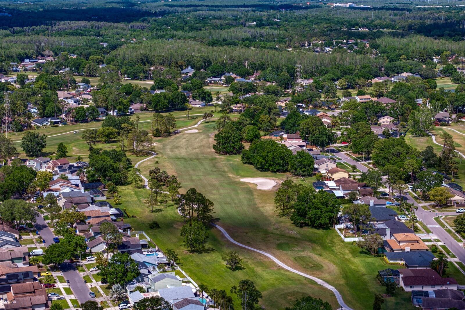 More golf course views