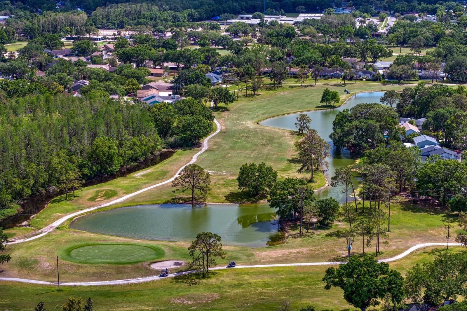 Lots of ponds throughout the community