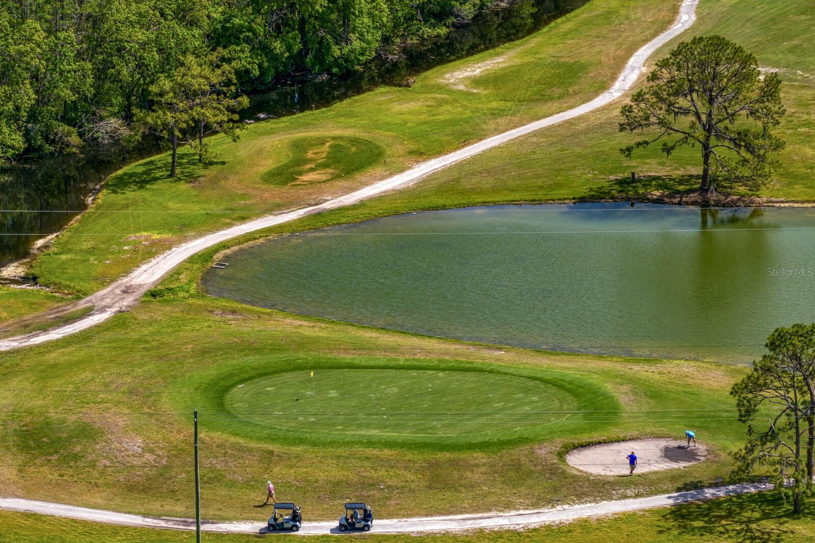 Greens and pond views