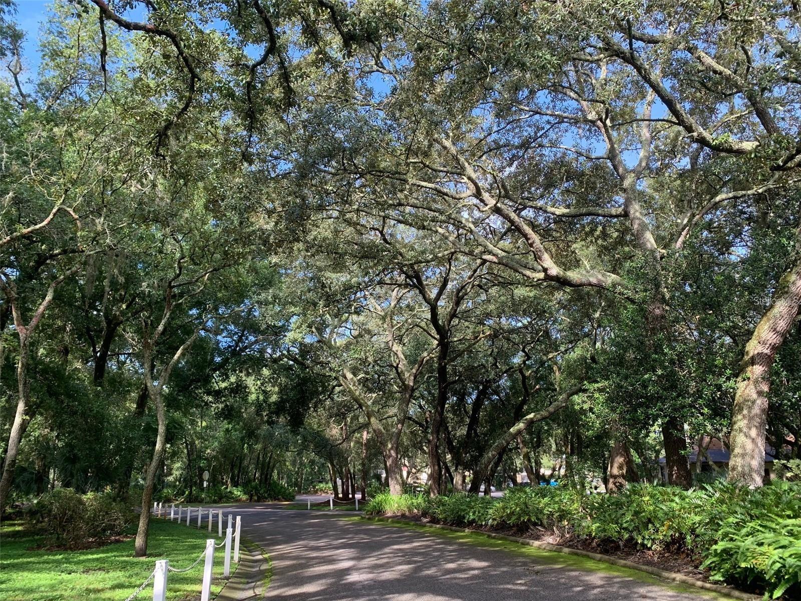 entering Raintree Village Blvd