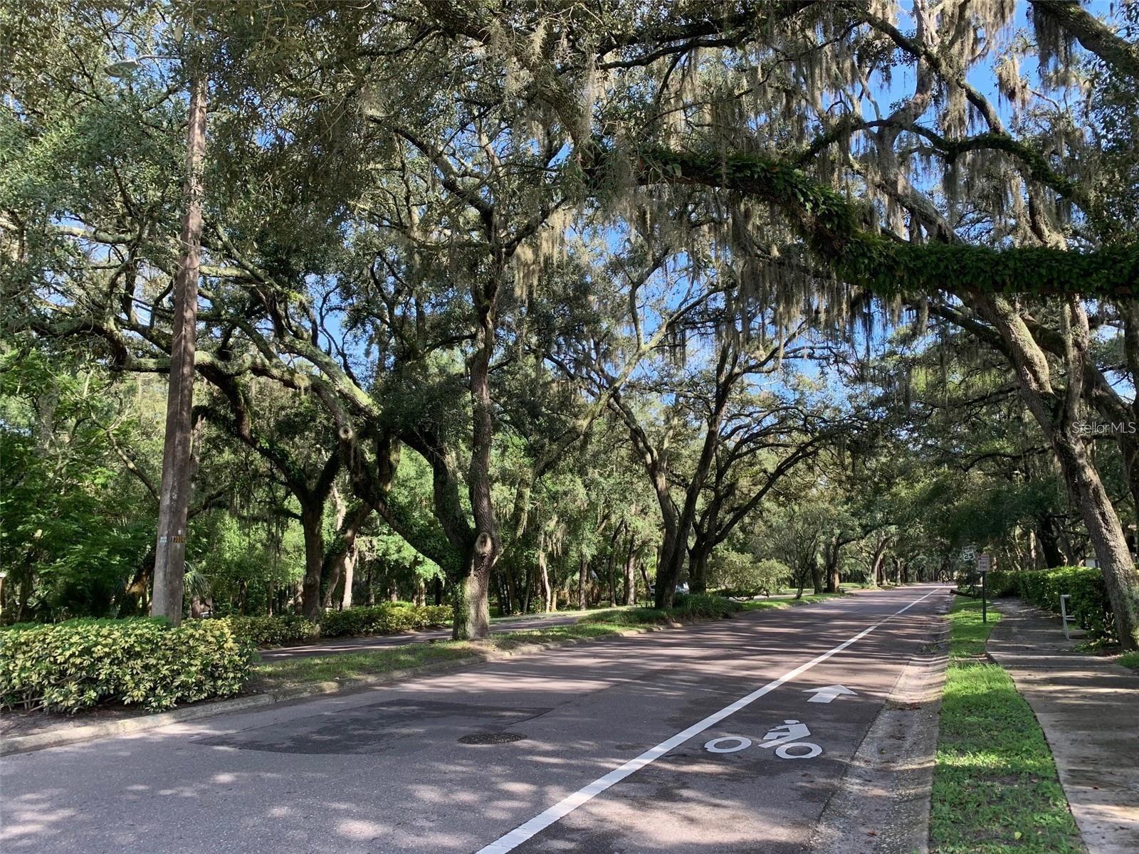 Entering Raintree Blvd
