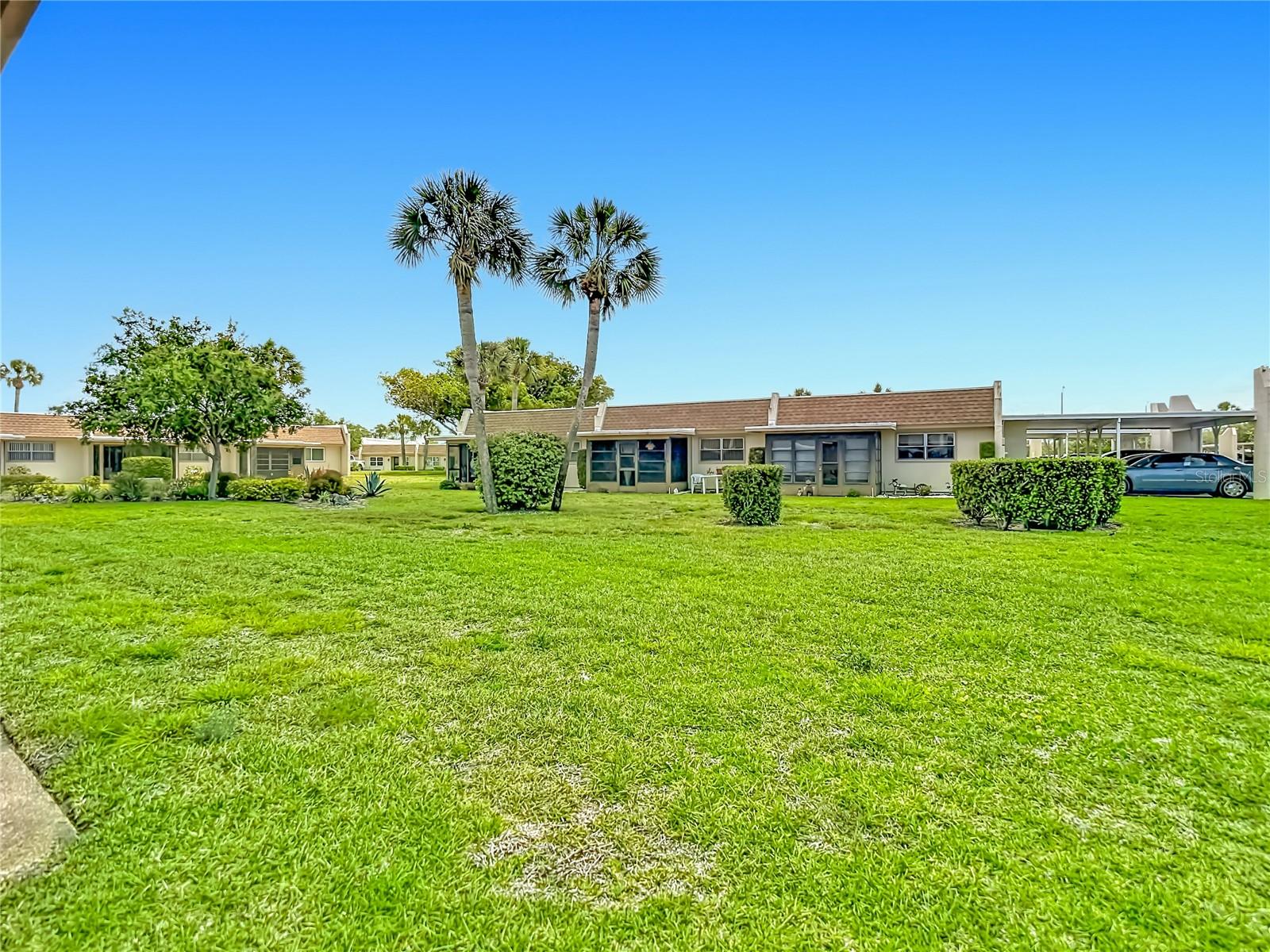 backyard view