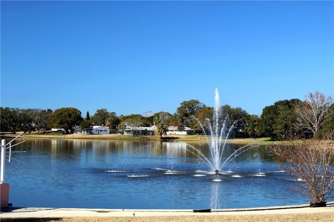 pond