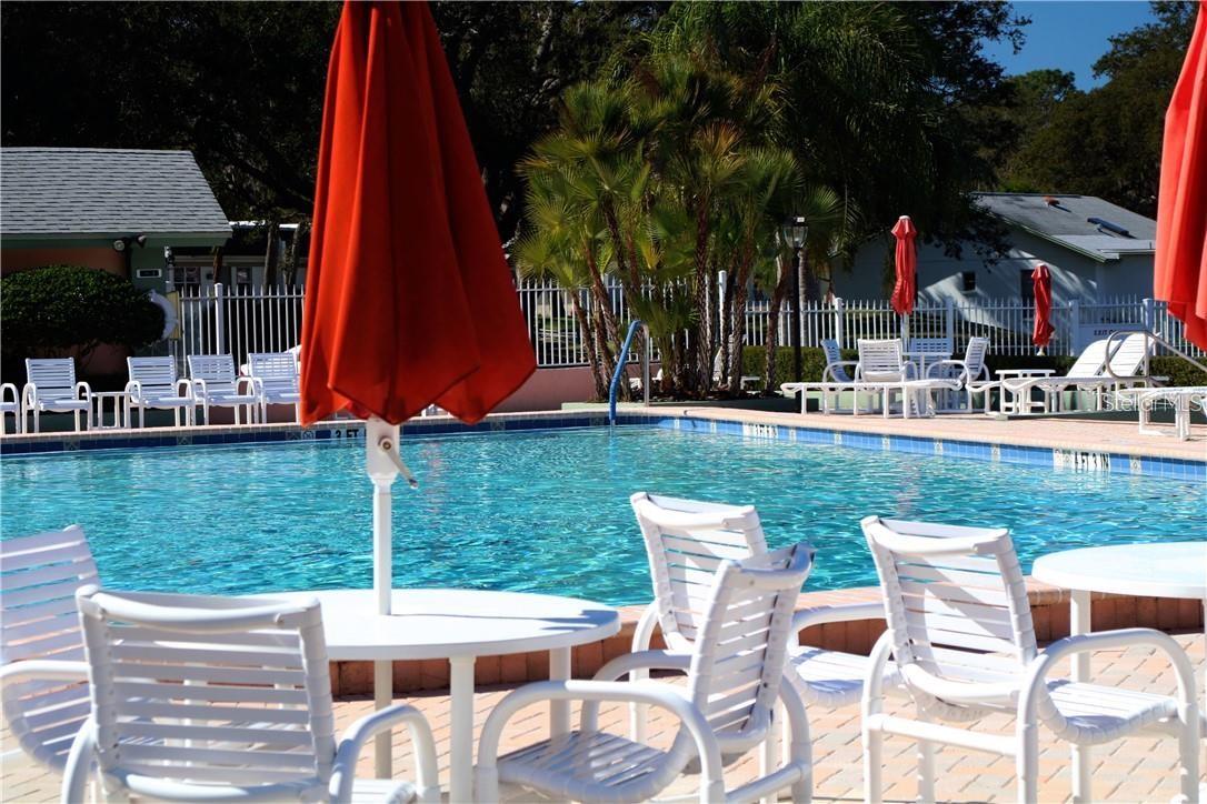 Timber Oaks main pool