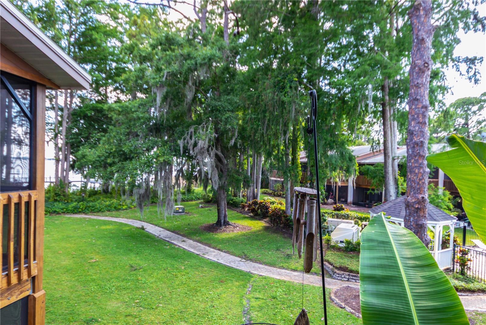 your personal water view of Lake Tarpon