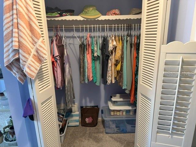 Primary Bedroom Closet & Bath