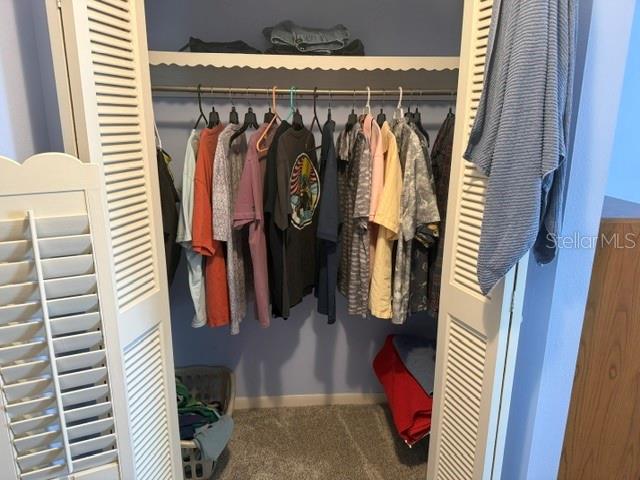 Primary Bedroom Closet & Bath