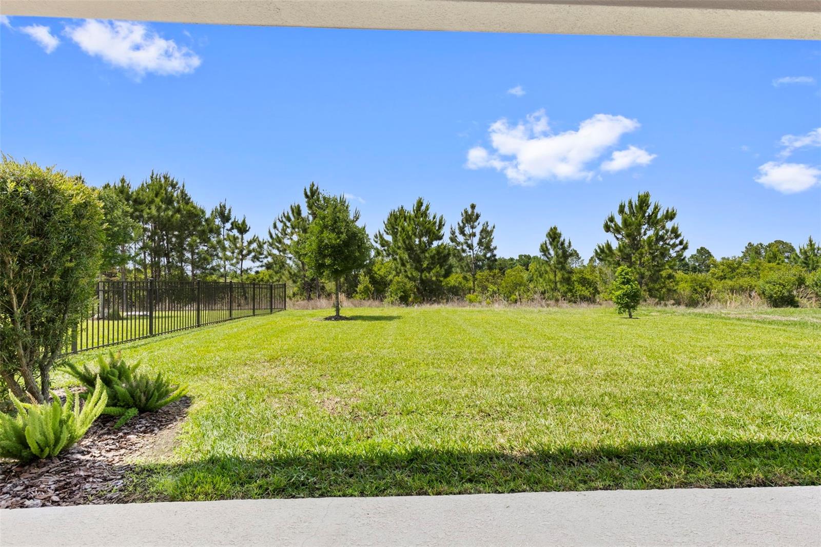 Rear Exterior-Large Backyard