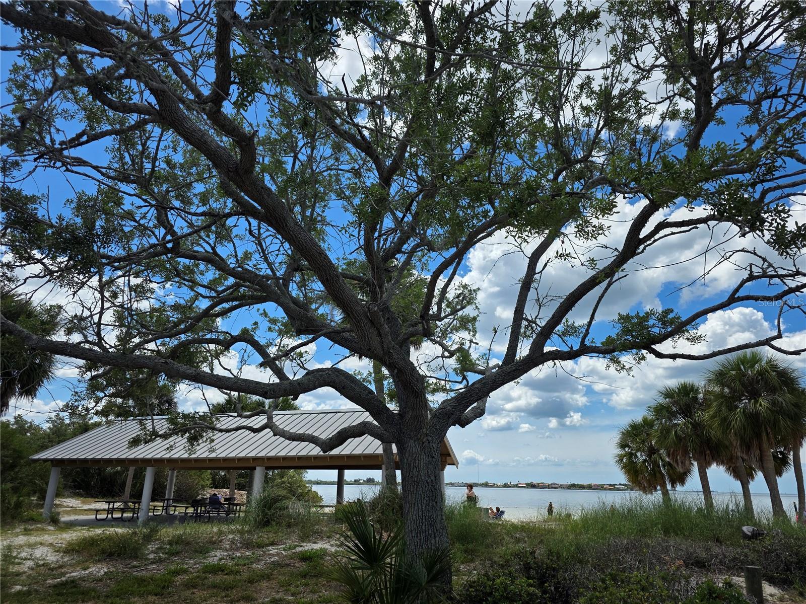 Green key beach within 7.5 miles