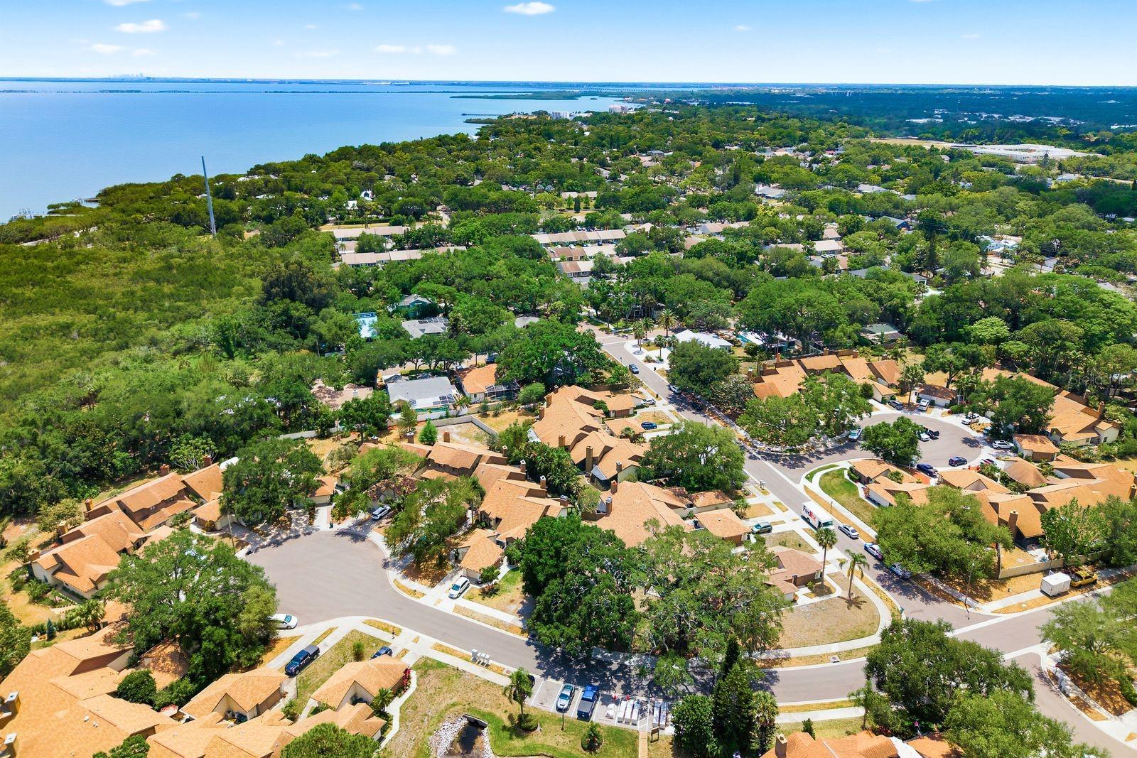 TB8501046