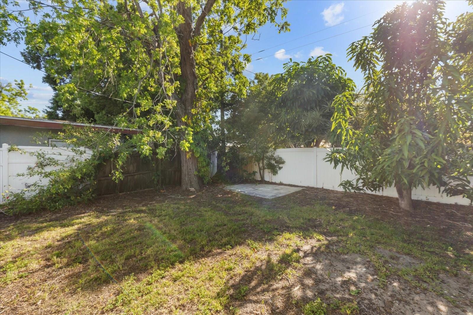 Backyard looking SW