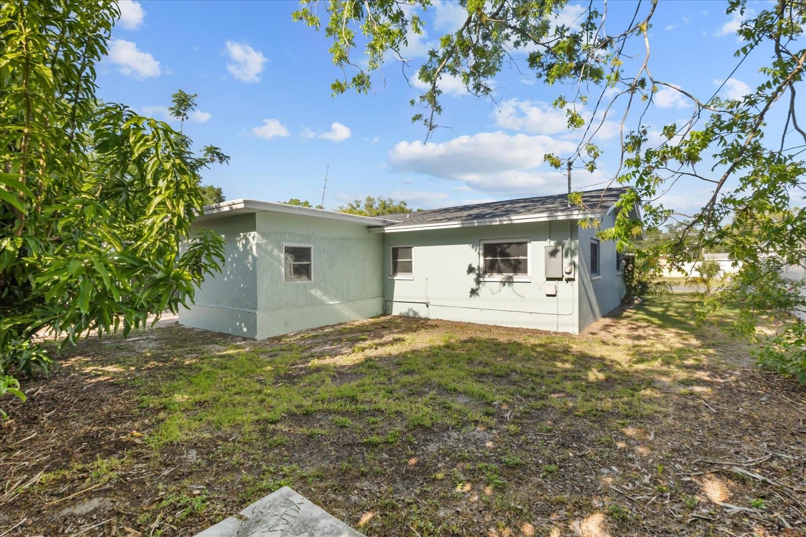 Back Ext and South Side Yard