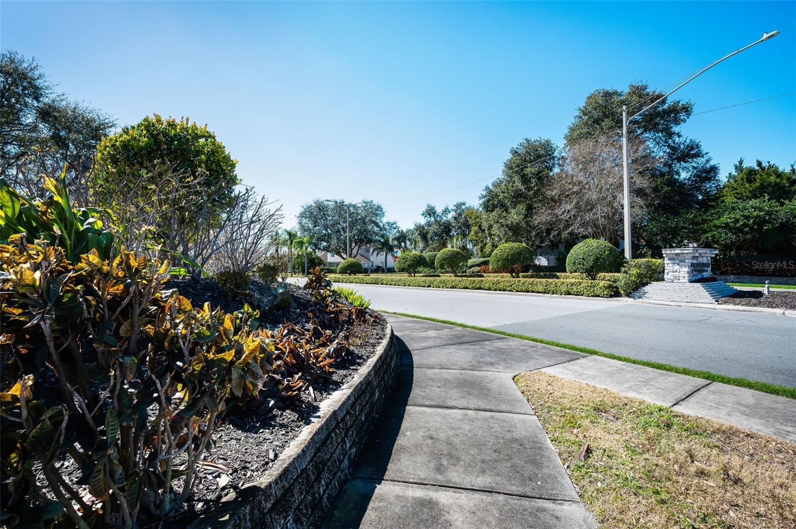 Retention Pond along Curlew Rd