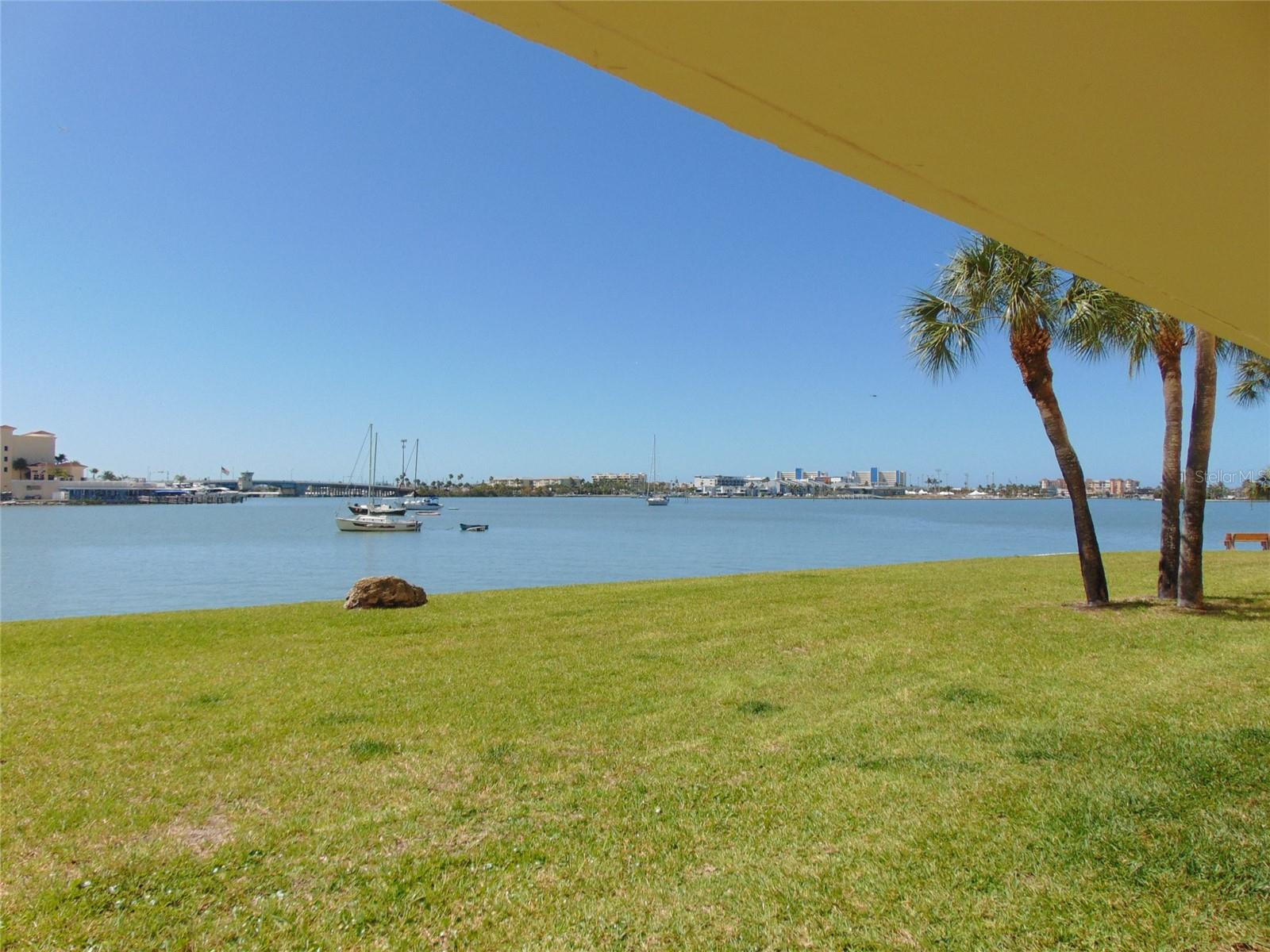 View out your back window(3)