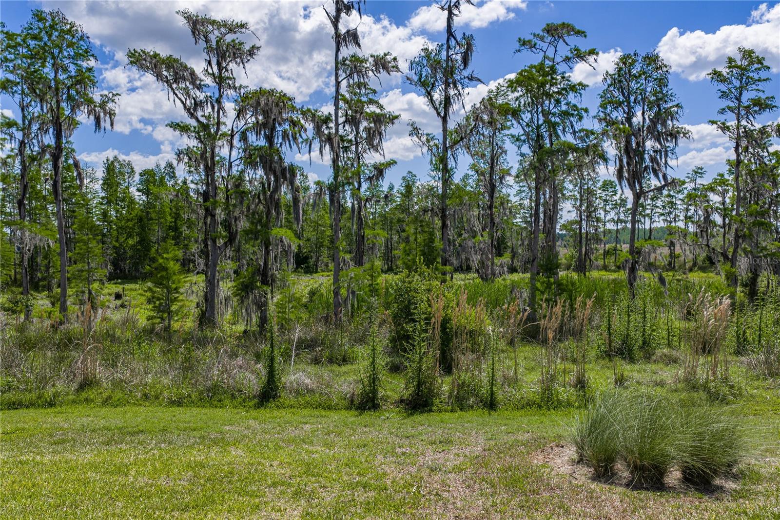 Rear Private Conservation View