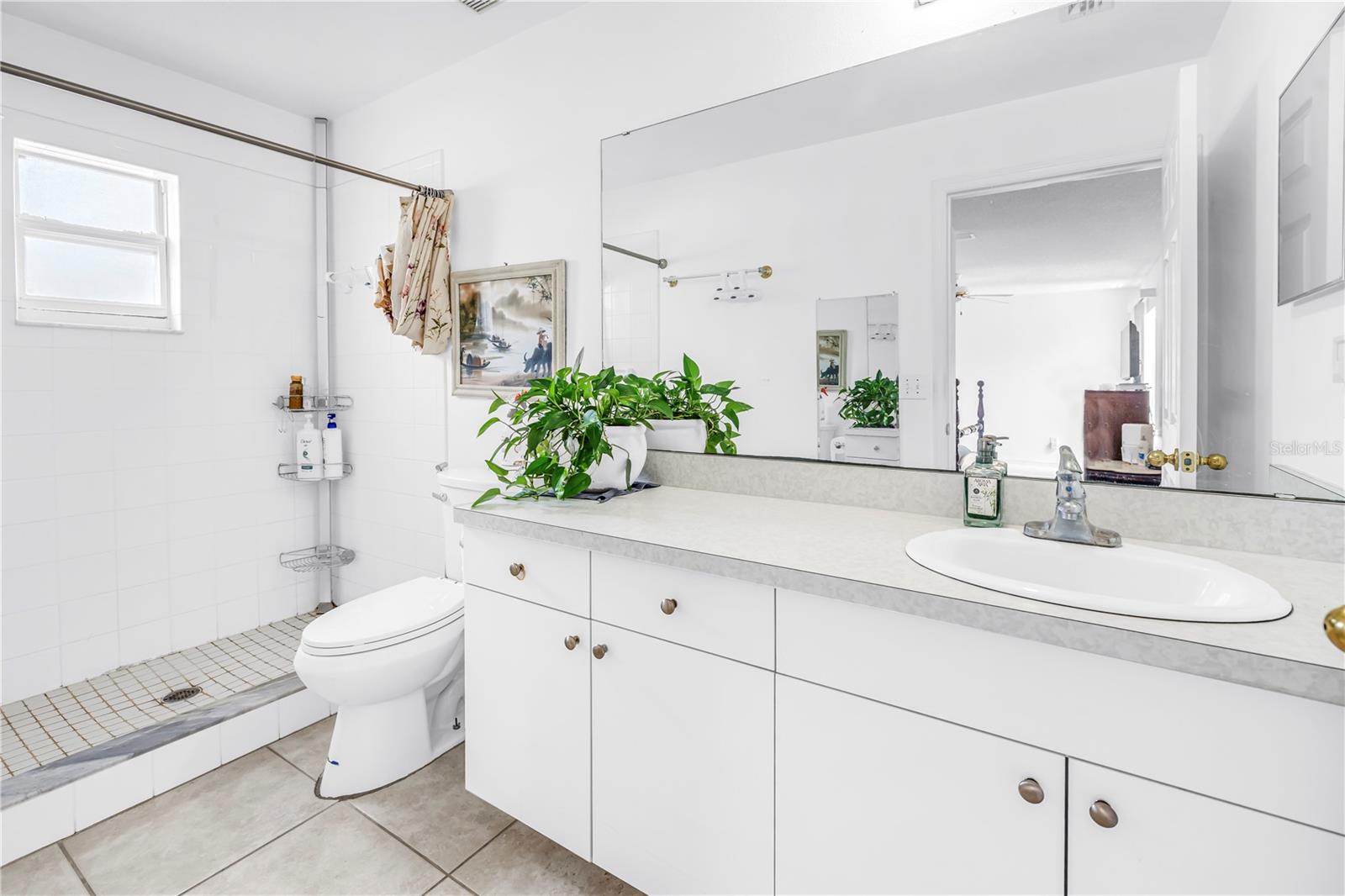 Primary bedroom en suite bath