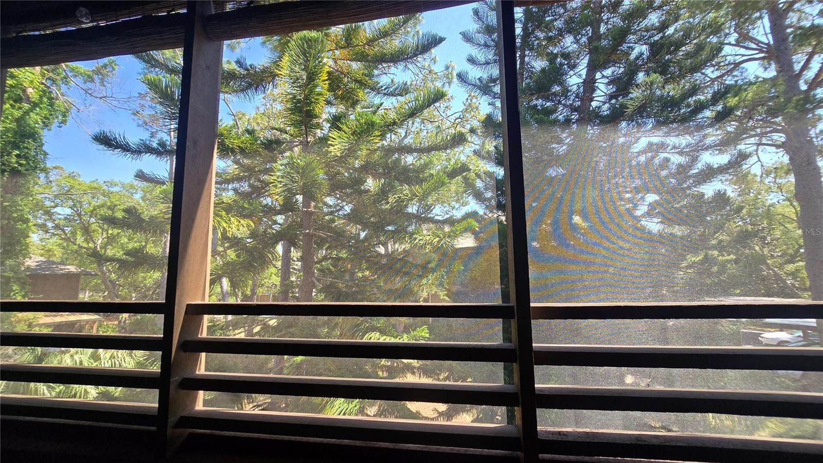 T H I S is the view from your screened in lanai.  You can also enjoy these views from the living room, dining room, kitchen and owner's suite.