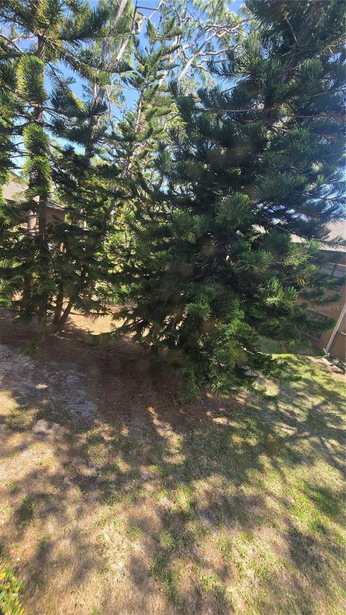 Looking down at the peaceful view from the screened in lanai.
