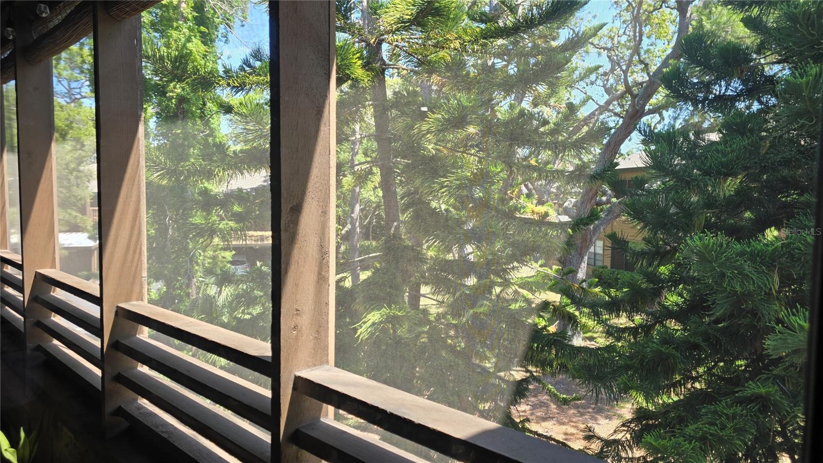 Screened in lanai can be accessed from sliders in the living room or from the owner's suite. You're not going to get tired of this view.