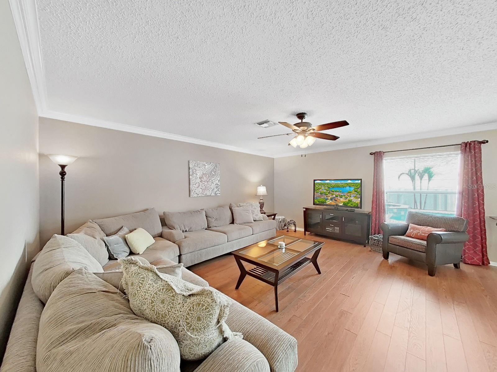 Sink into this sun drenched living room! Windows with views of the outdoor pool and spa!