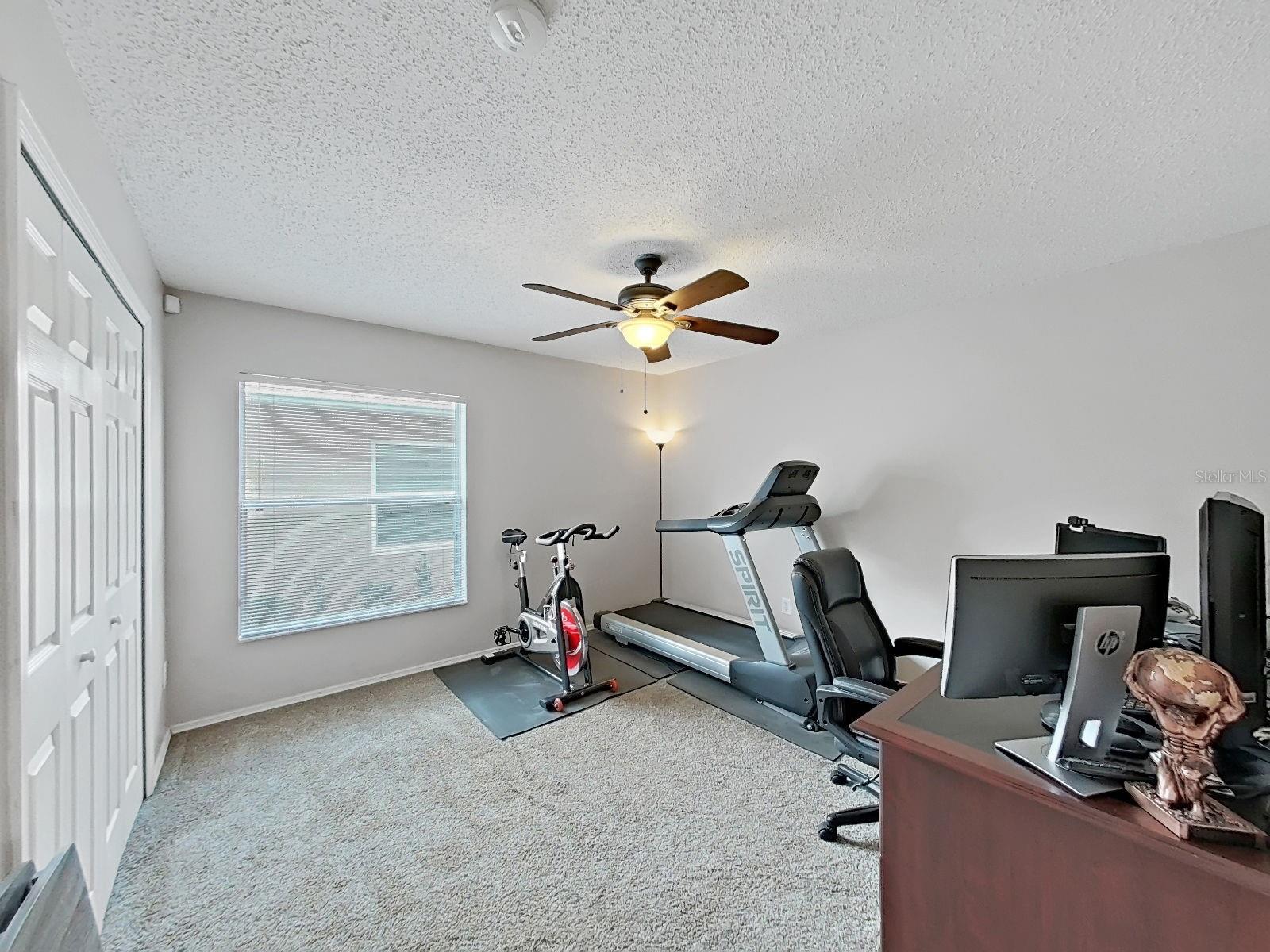 6 Bedrooms in this home! This is the downstairs spacious bedroom.