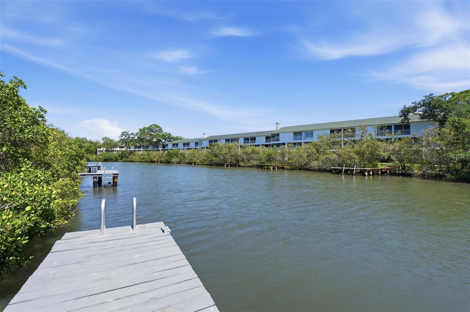 Sit on the dock and watch for dolphin, manatee, spoonbill & otter