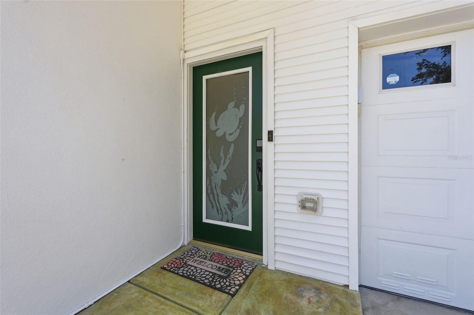 Etched Glass Front Entry Door