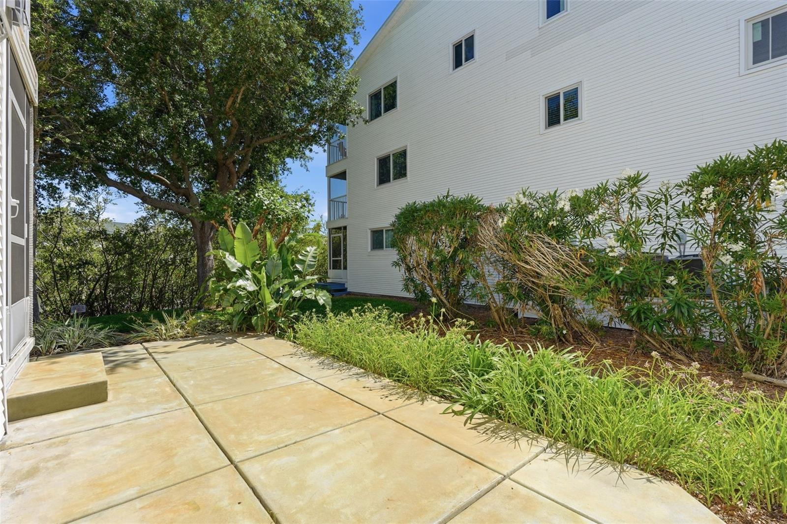 Open Concrete Patio area