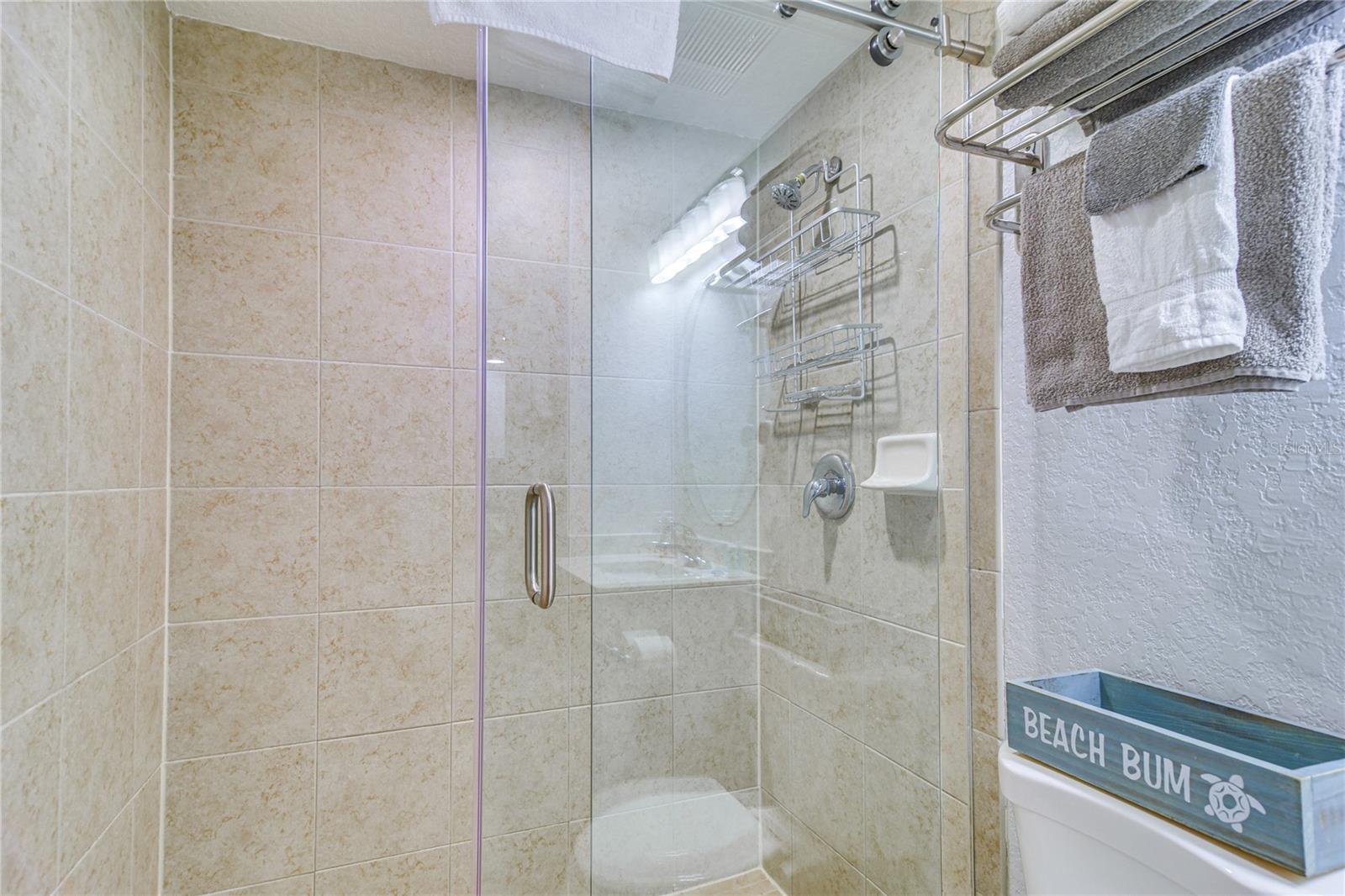 New Shower Door