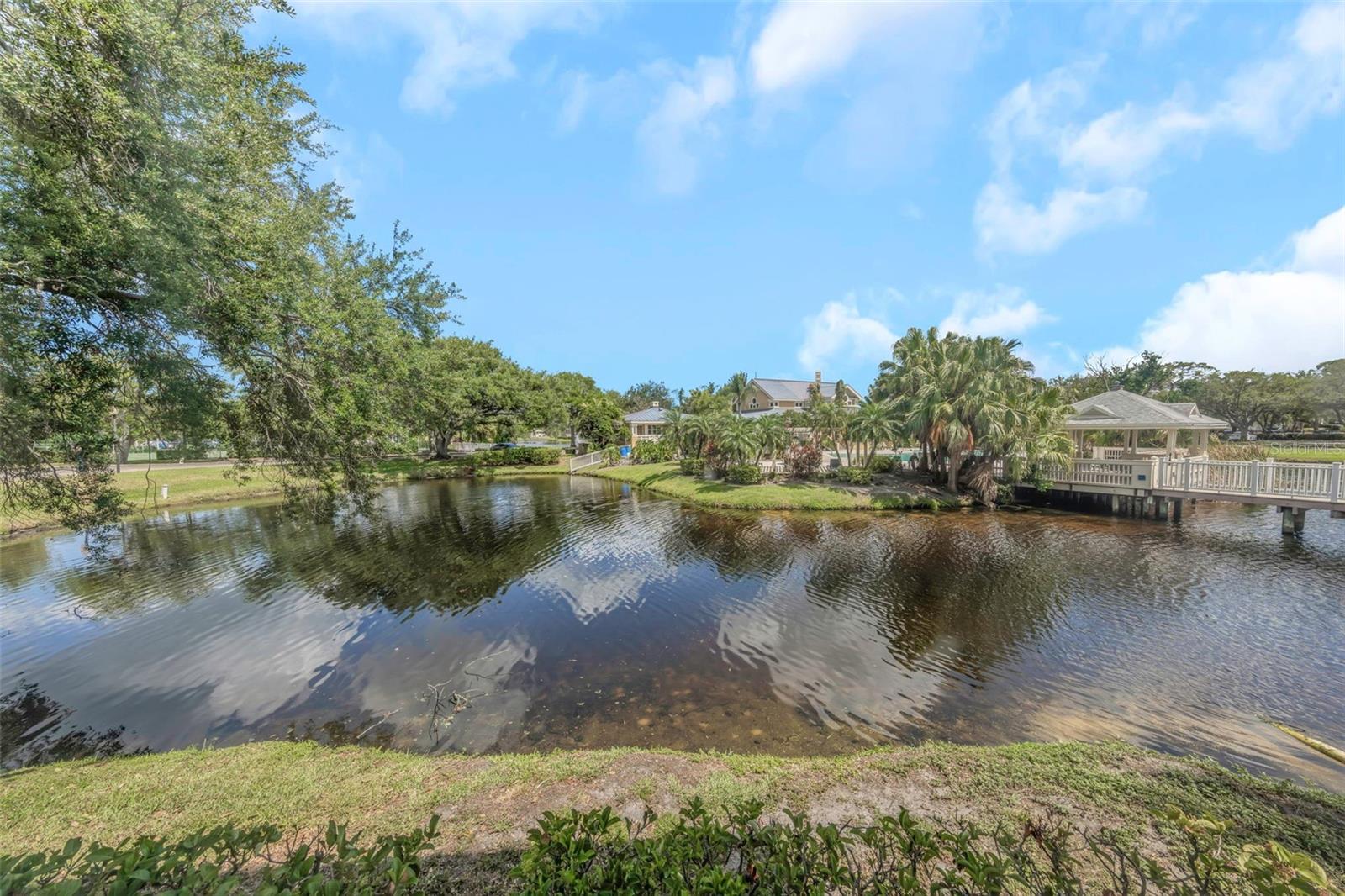 Pond View