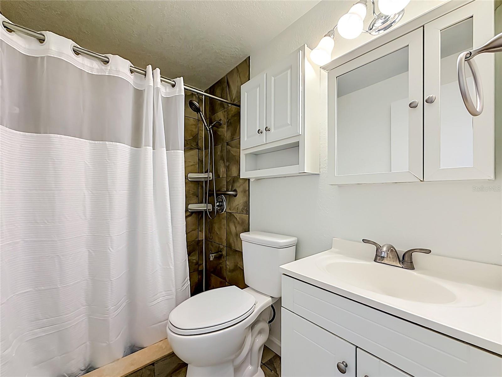 Hall Bath-walk in shower