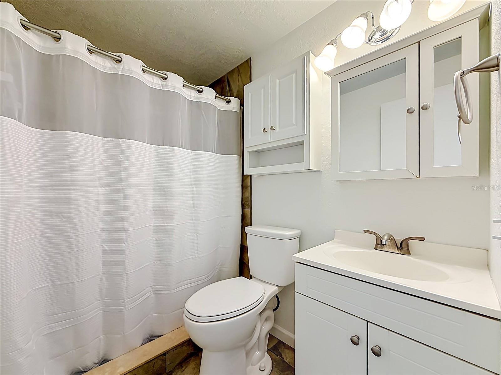 Hall Bathroom