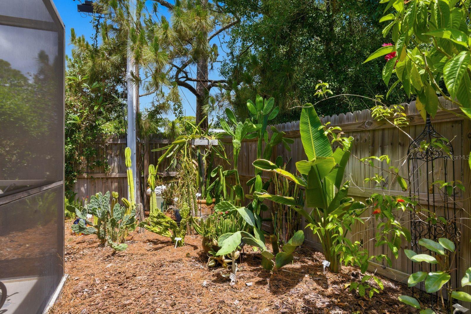 garden