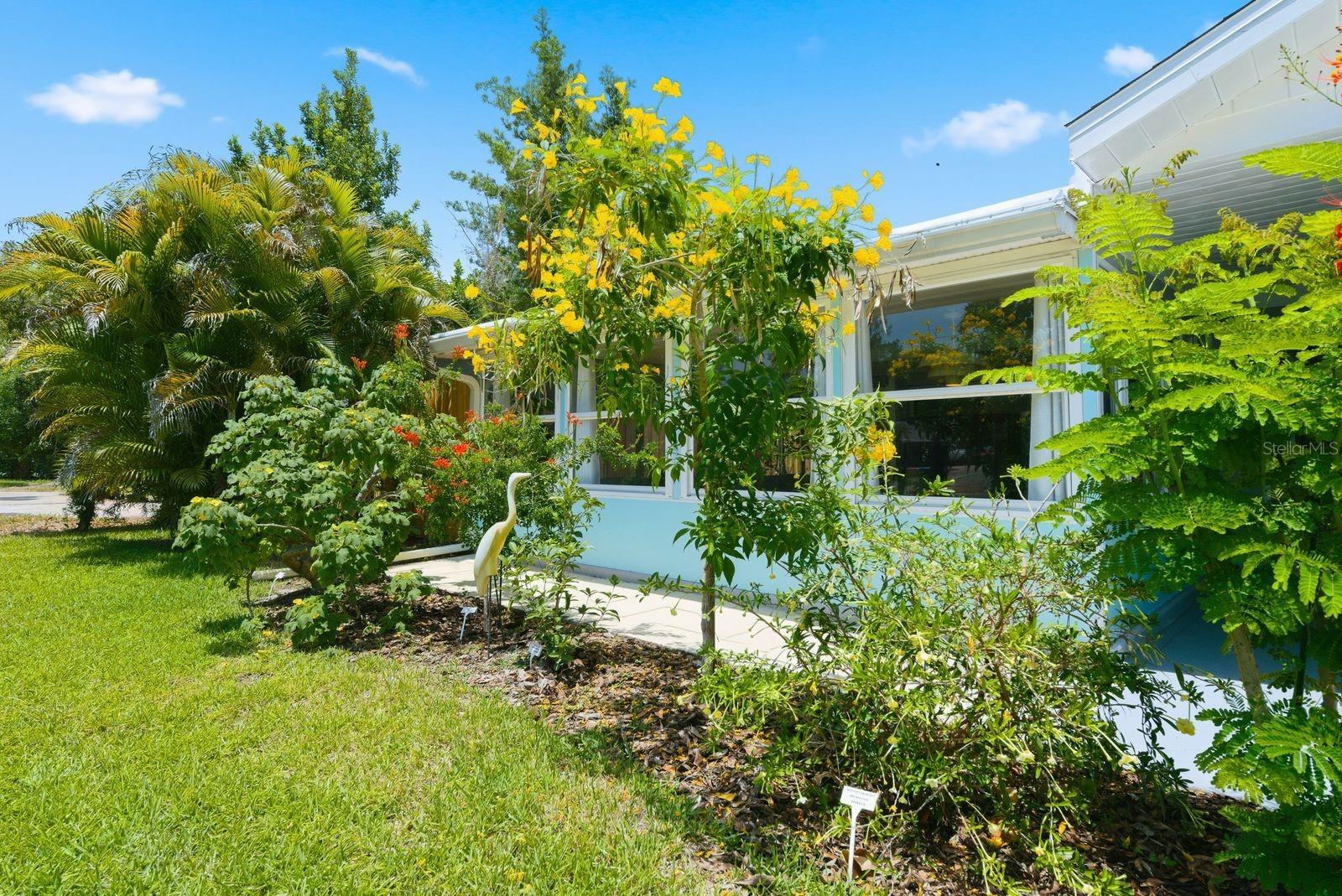 garden