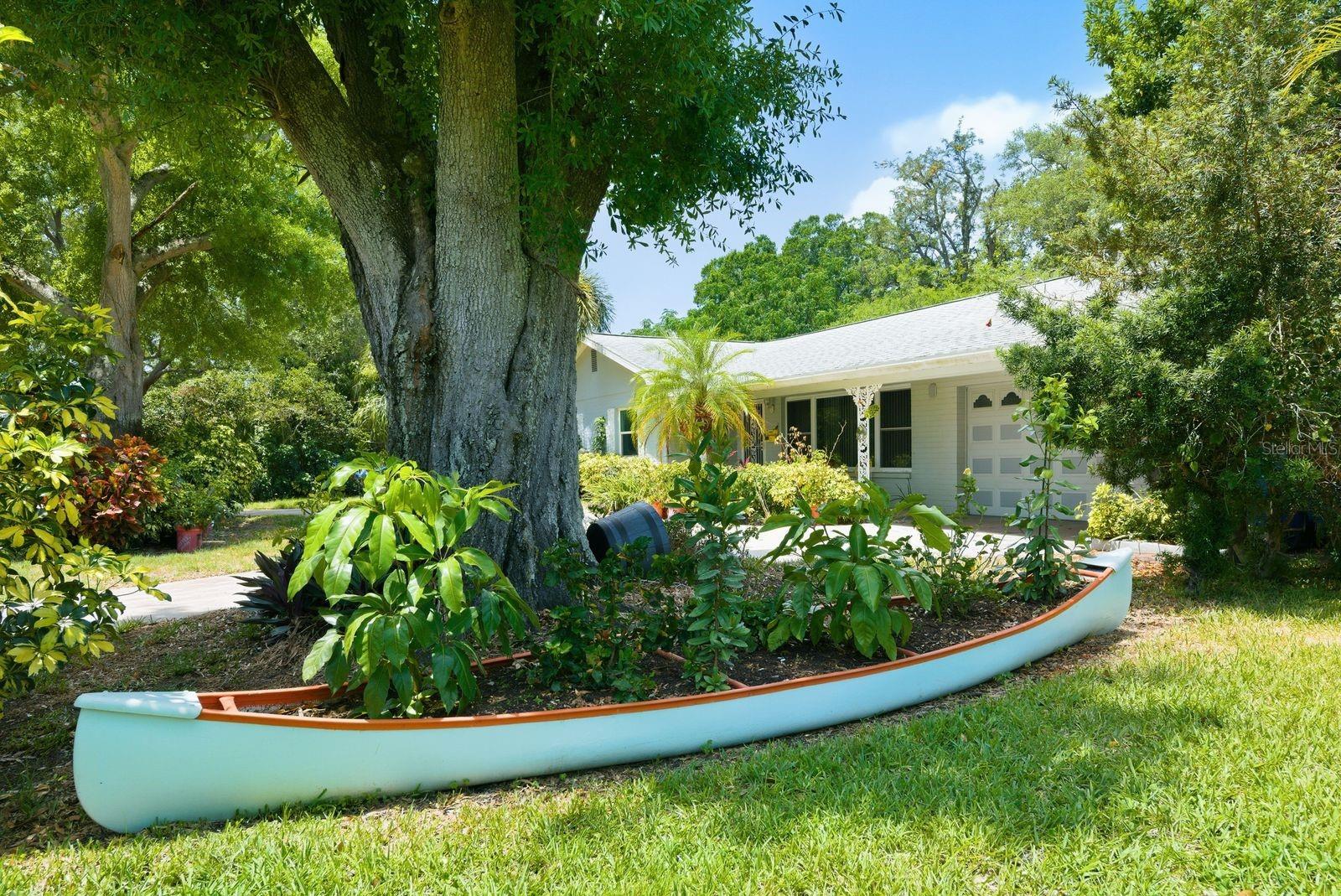 garden