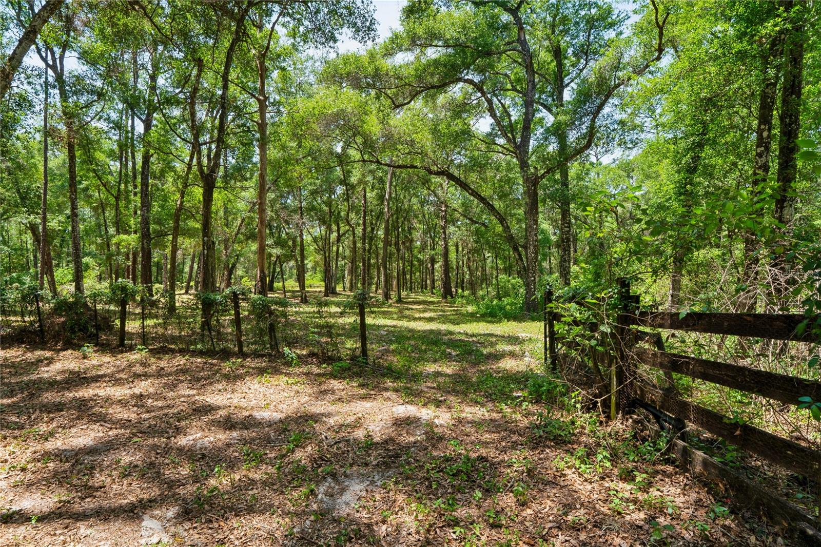 Front Pasture