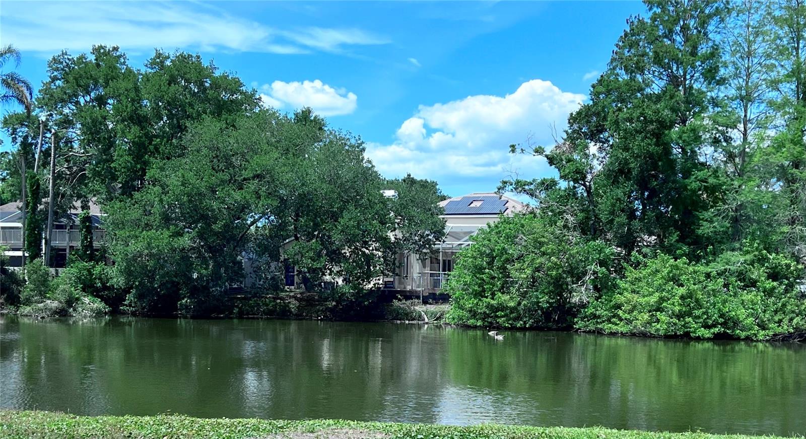 View from front yard