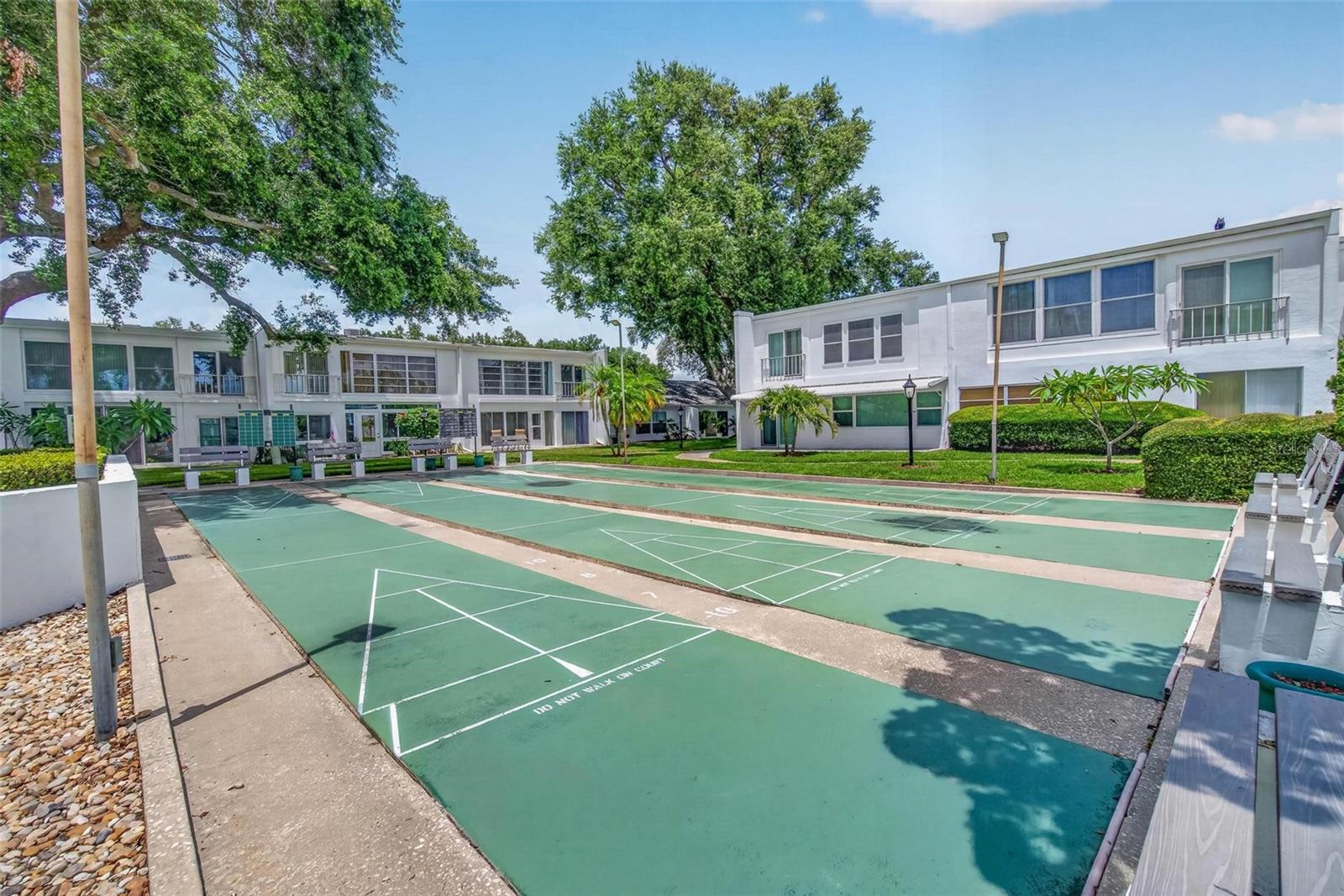 Community Shuffle Board