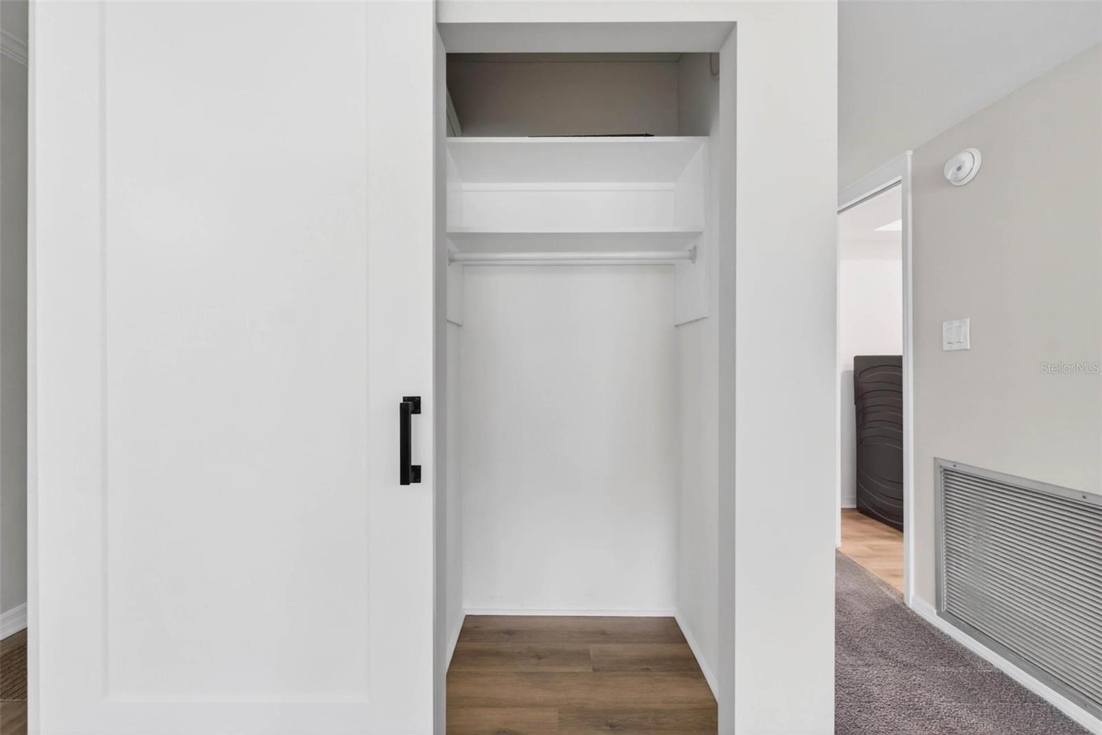 Hidden Storage Closet in Living Room