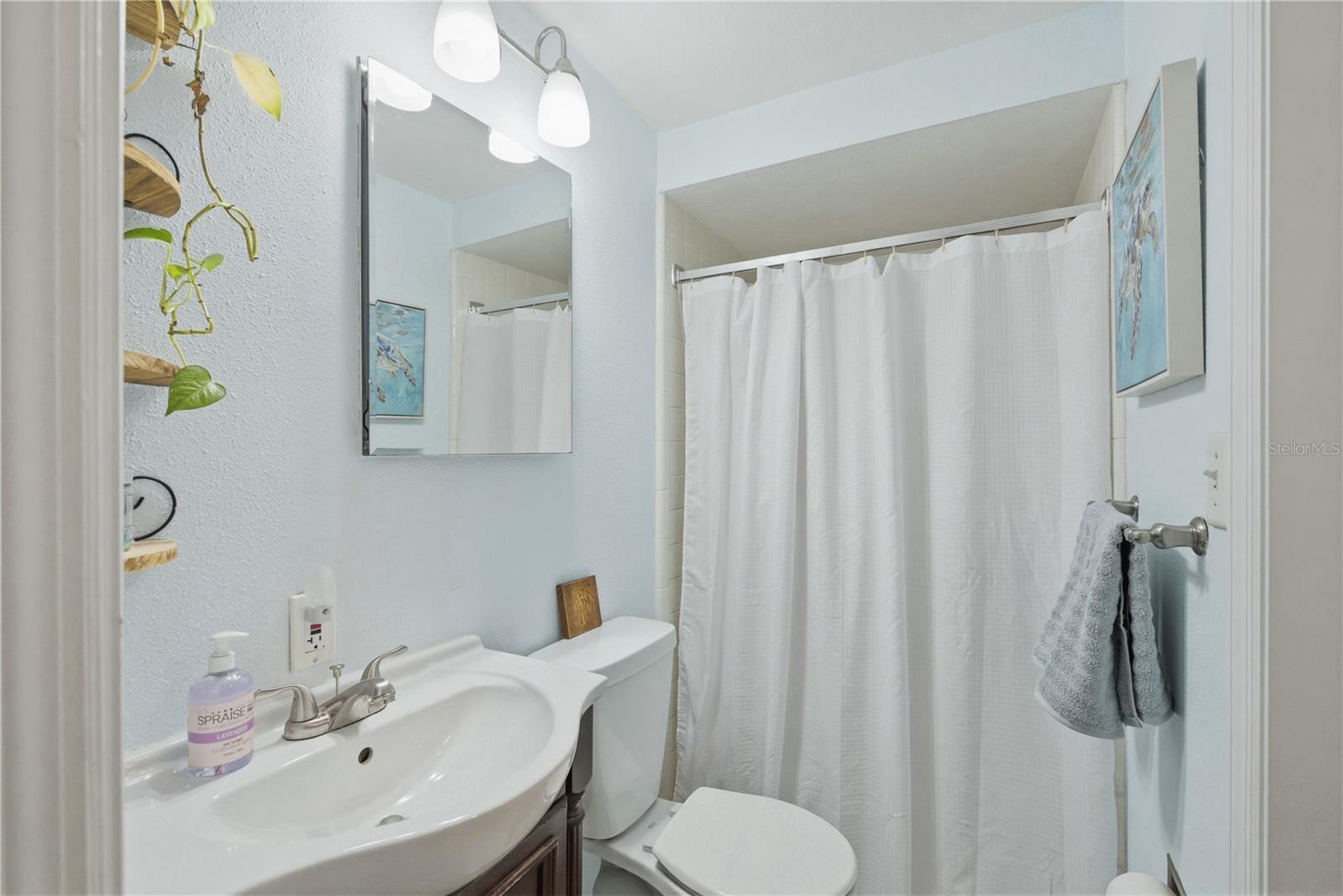 Guest bath