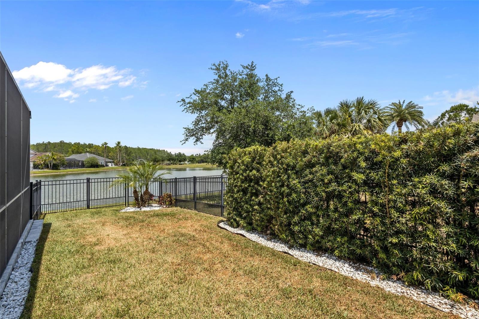 Fenced side yard with tropical landscaping