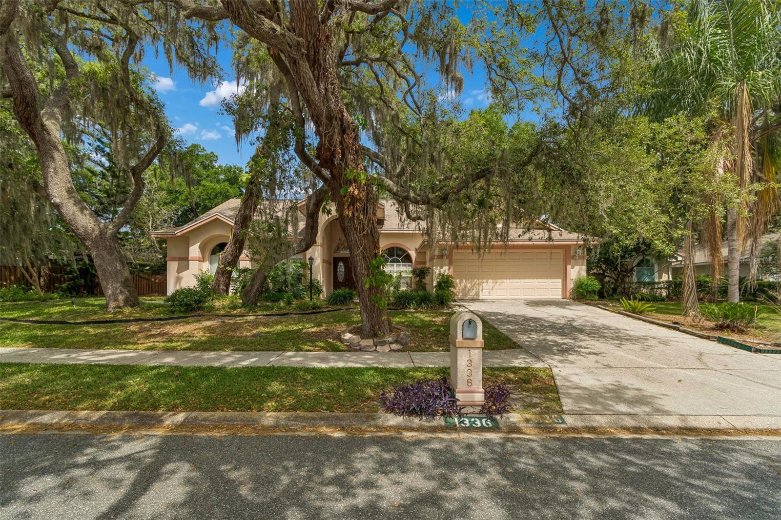 Front Yard